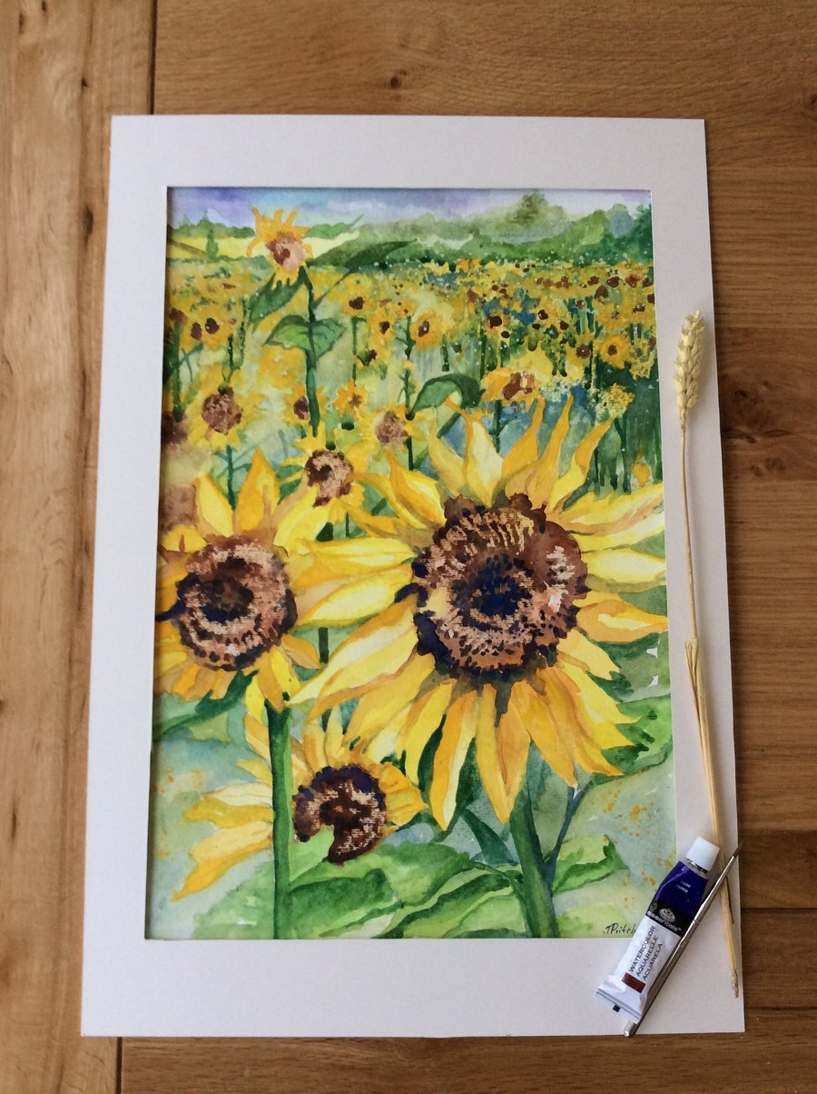 Watercolour painting of yellow sunflowers