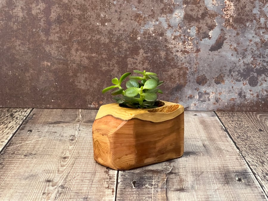 Plant Holder made from beautiful up-cycled wood