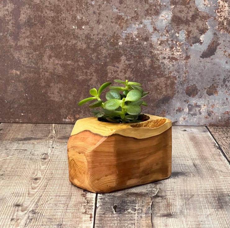 Gifts for Houseplant Lovers