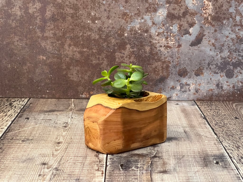 Plant Holder made from beautiful up-cycled wood