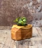 Plant Holder made from beautiful up-cycled wood - Image 1