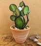 Stained Glass Cactus Succulent in Terracotta Pot, Plant Your Own Succulent Kit - Image 3