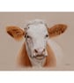 Cow Original Coloured Pencil Drawing - Image 3