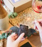 DIY Kit Woolly Bat Needle Felting - Beginners Craft Kit High Quality - Image 3