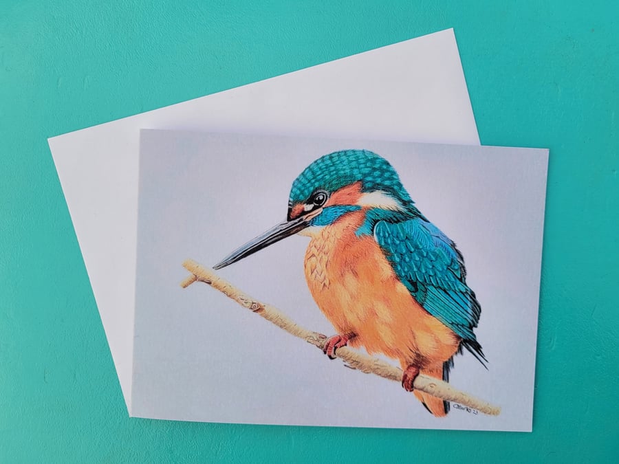 Pack of 10 kingfisher cards. Blank inside for your own message.
