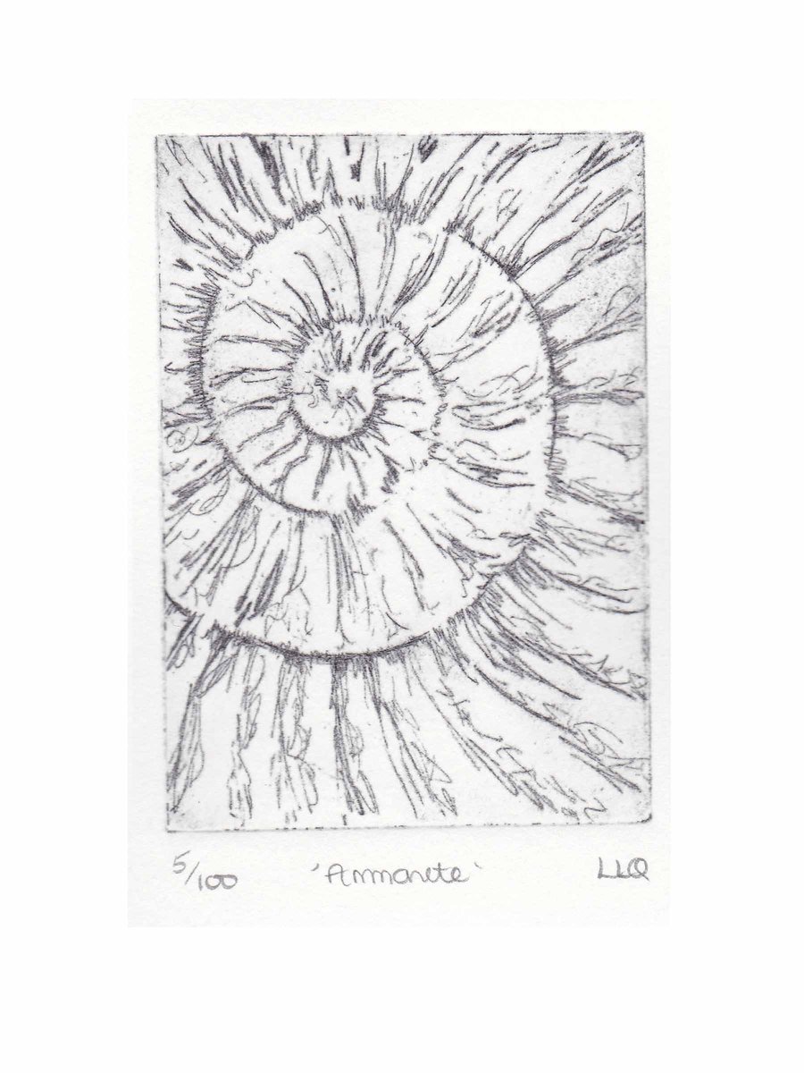 Etching no.5 of an ammonite fossil in an edition of 100