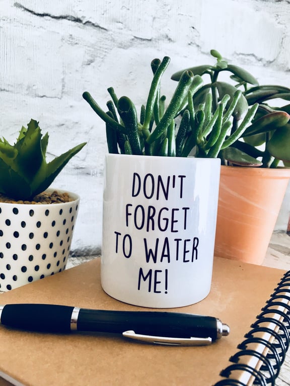 Plant pot, planter, cactus pot, christmas gift, gift for women, funny plant pot,