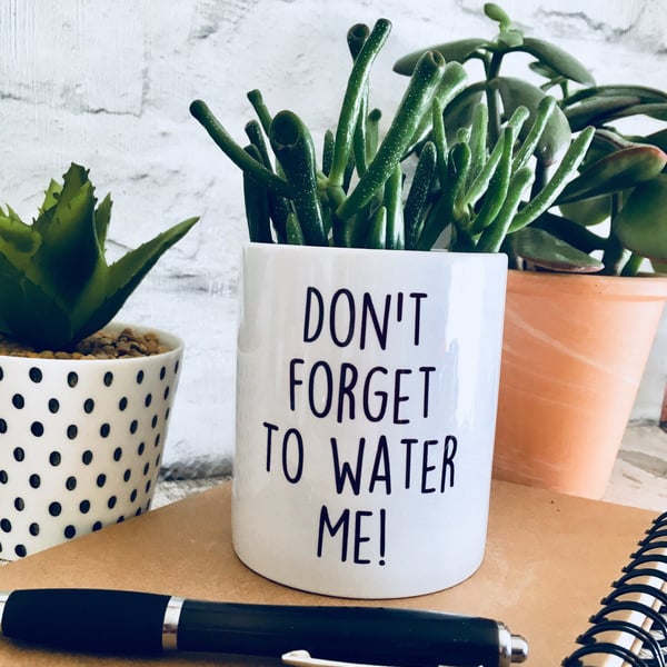 Plant pot, planter, cactus pot, christmas gift, gift for women, funny plant pot,