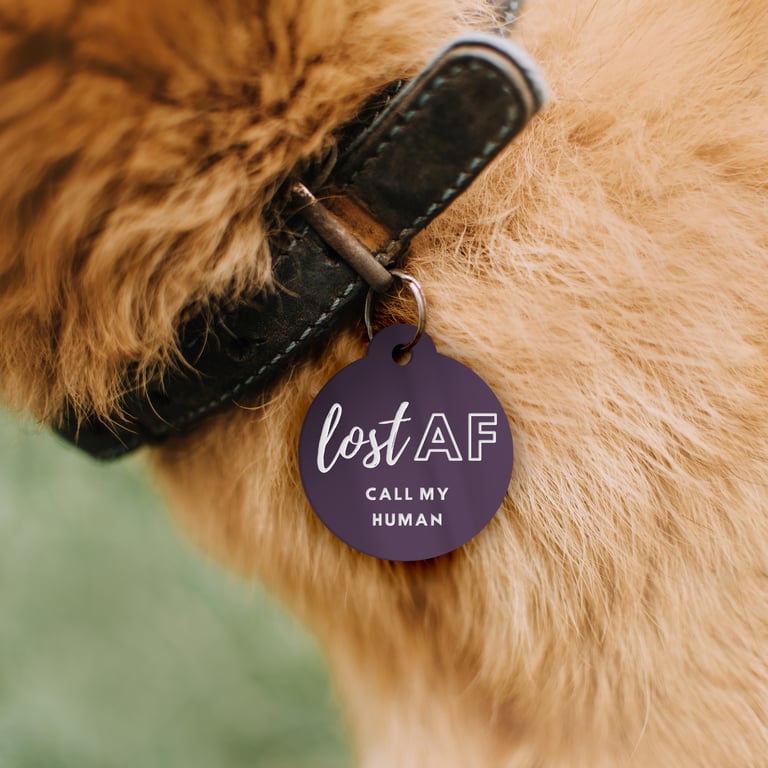 Lost AF - Personalised Dog ID Collar Tag: Funny Custom Pet Safety Accessories