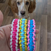 Puppy neck wear