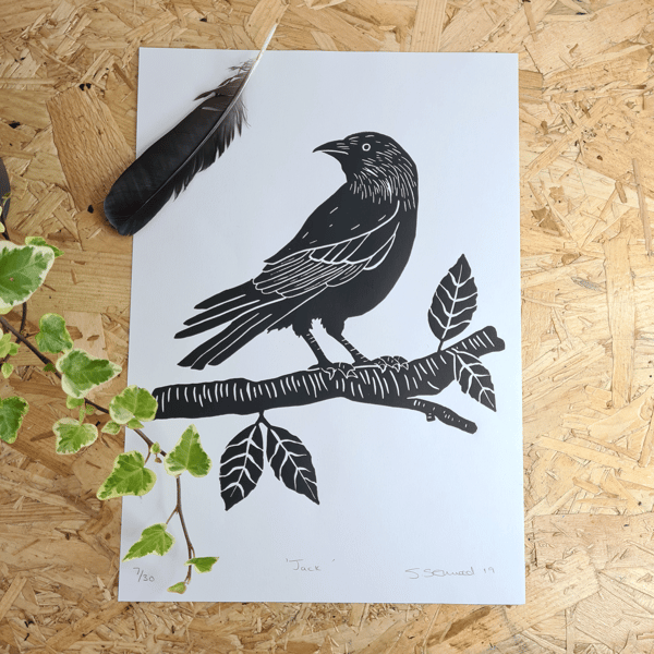 Jackdaw handprinted Lino Print A4 on paper