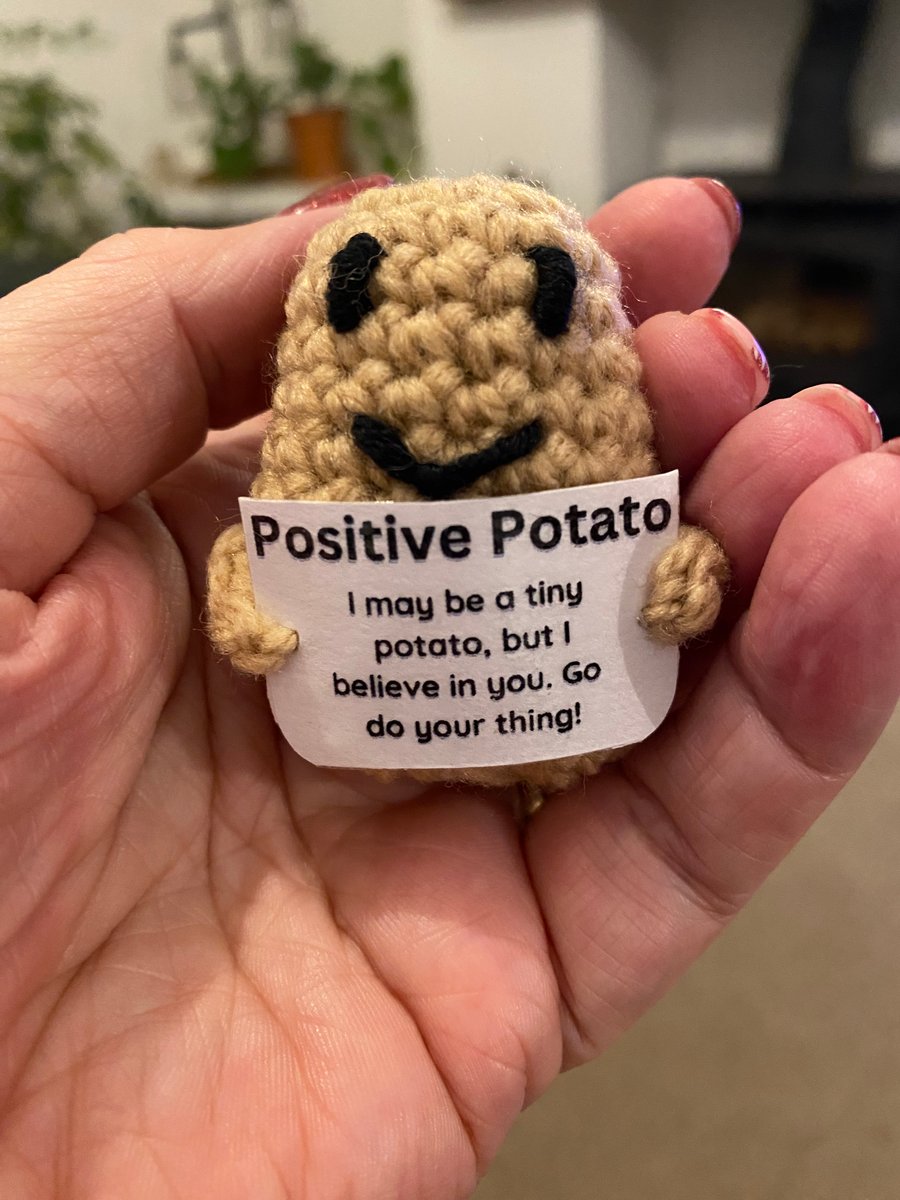 Handmade Crochet Positive Potato