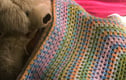 Crochet Blankets