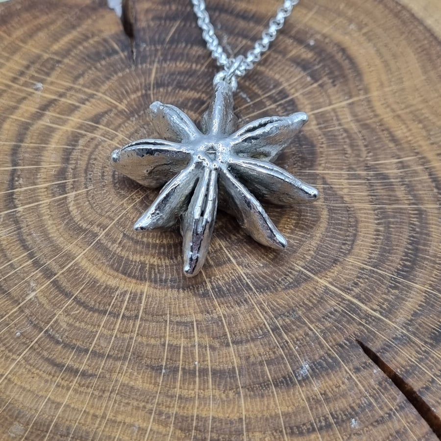 Real Star Anise preserved in silver, pendant necklace