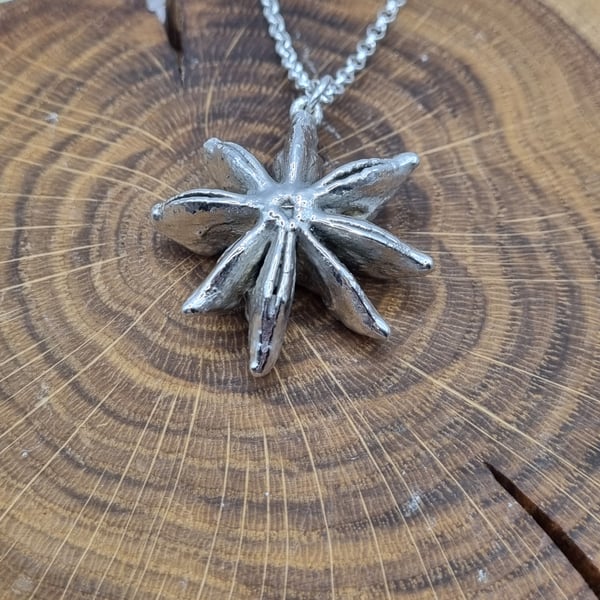 Real Star Anise preserved in silver, pendant necklace