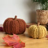 Autumn Pumpkin Decorations - Knitted Pumpkins - 100% British Wool - Autumn Decor