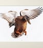 Flying Mallard