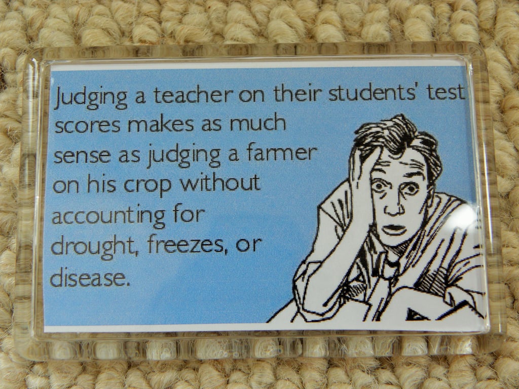 Judging A Teacher Unrealistic Exam Expectation Funny Decorative Fridge Magnet