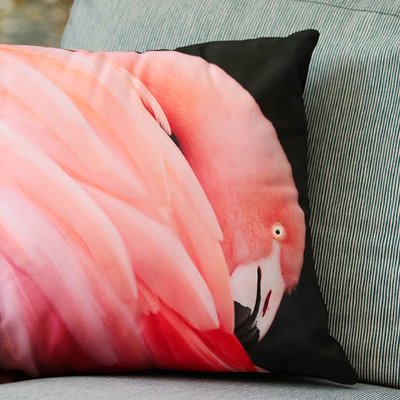 FLAMINGO - CUSHION COVERS INSPIRED BY NATURE FROM LISA COCKRELL PHOTOGRAPHY