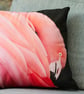 FLAMINGO - CUSHION COVERS INSPIRED BY NATURE FROM LISA COCKRELL PHOTOGRAPHY - Image 1