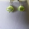 Spring Green Freshwater Pearl Stud Earrings