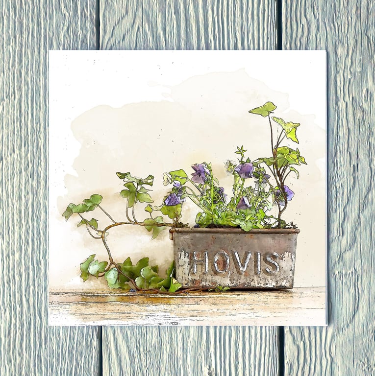 Hovis Tin with Pansy & Ivy - Greetings Card