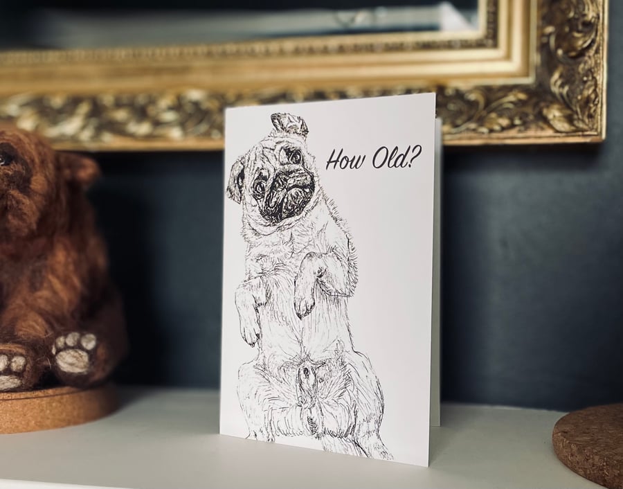 Cute Funny Pug 'How Old?' Age Birthday Card- Print of Original Drawing A6