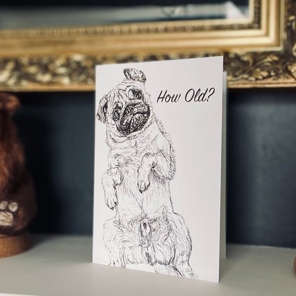 Cute Funny Pug 'How Old?' Age Birthday Card- Print of Original Drawing A6