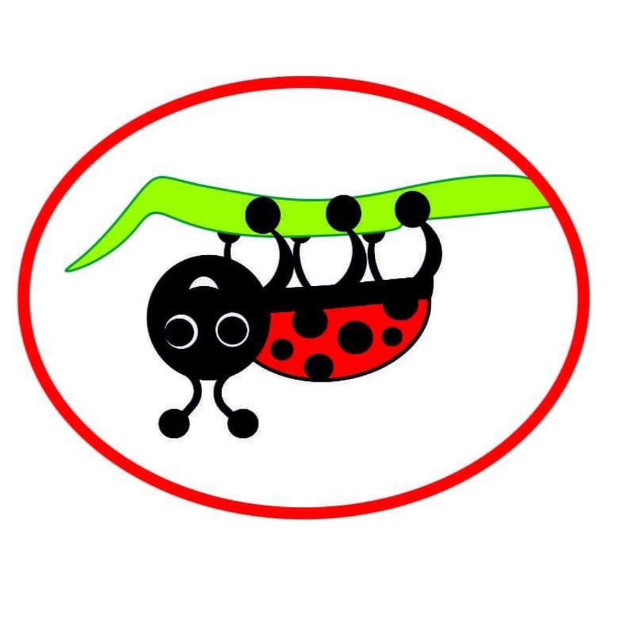 LadyBird Crafts