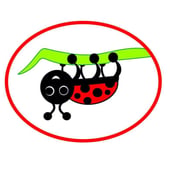 LadyBird Crafts