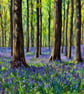 A5 Greeting Card Bluebells Woods Norfolk - Image 1