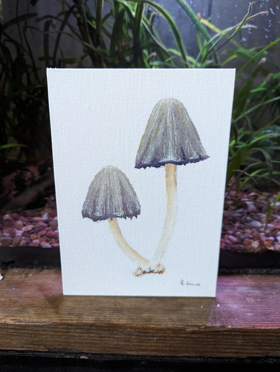 Common Inkcap Mushroom Acrylic Painting 