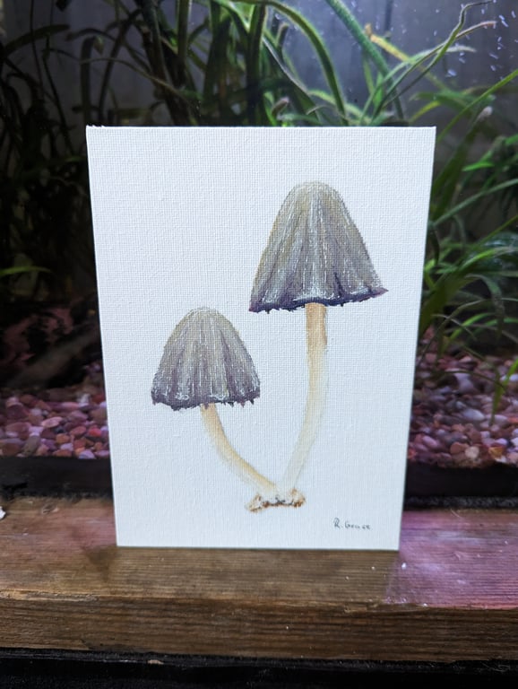 Common Inkcap Mushroom Acrylic Painting 