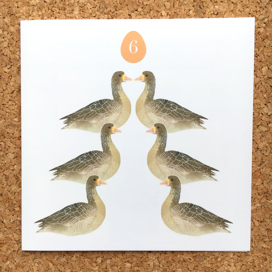 Six Geese (set of 5 Christmas cards)