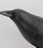 Crow  - Image 2