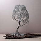 Beautiful Mini wire tree with mature foliage mounted on craggy Pine bark 