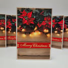 Set of 6 Poinsettia Christmas Cards – Festive Floral & Warm Fairy Lights Design