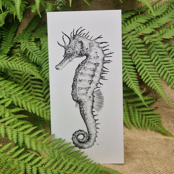 Long-snouted seahorse card