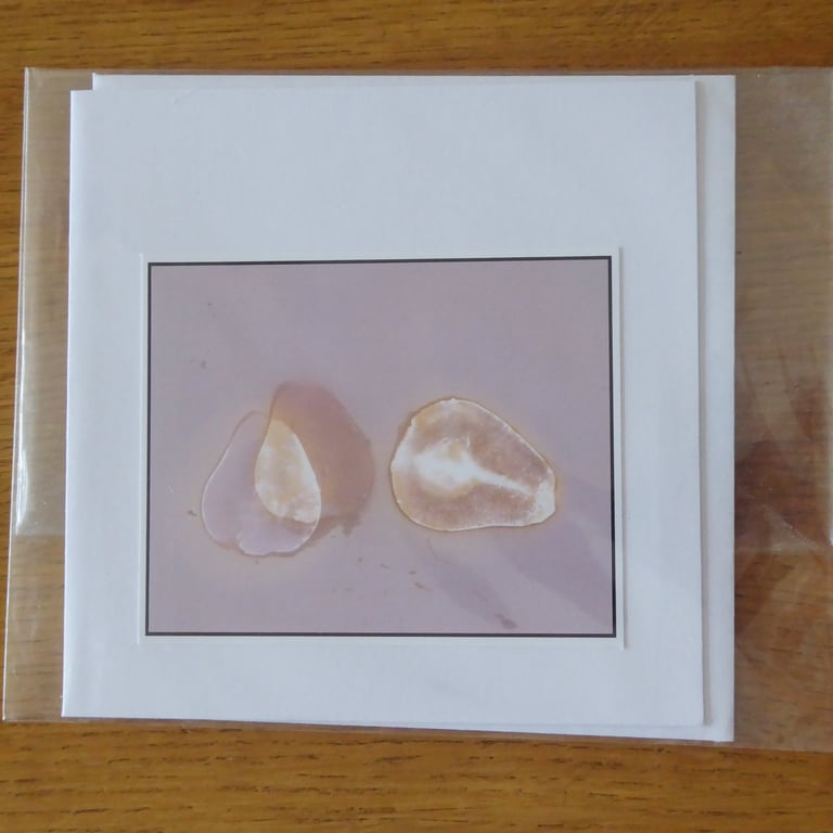 Pears Print from Original Photogram - White Blank Greeting Card with Envelope