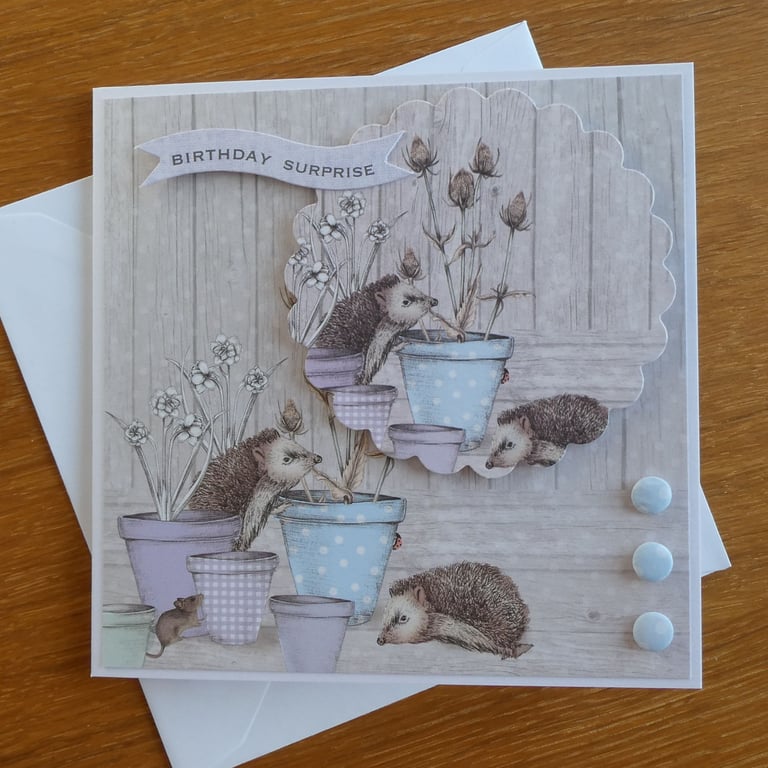 Hedgehogs and Flower Pots Birthday Card - Birthday Surprise