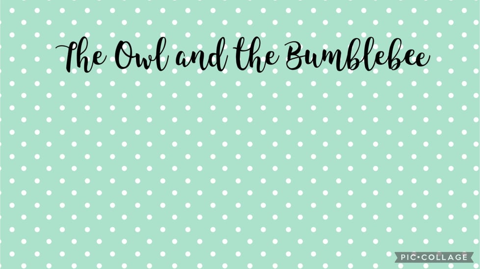 The Owl and the Bumblebee