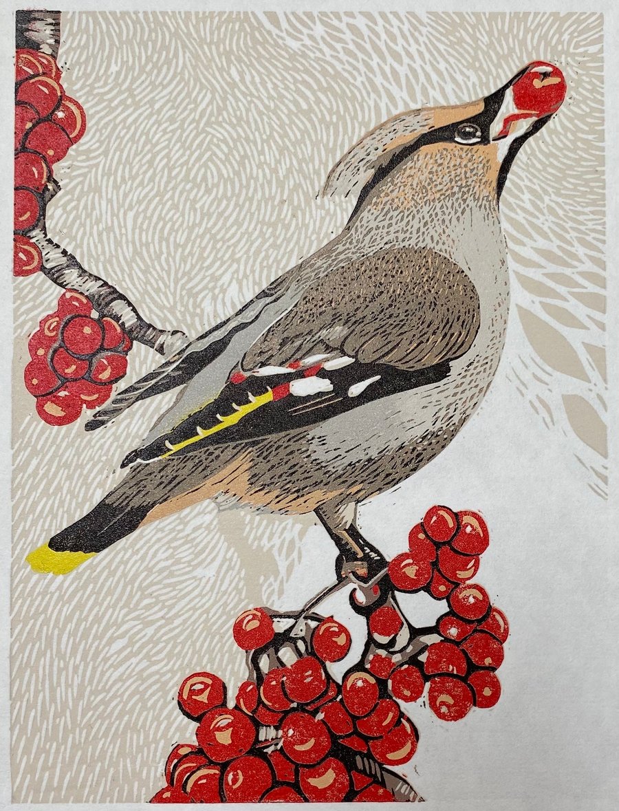  Waxwing and Rowan berries I  - Handmade Limited Edition Lino Print 