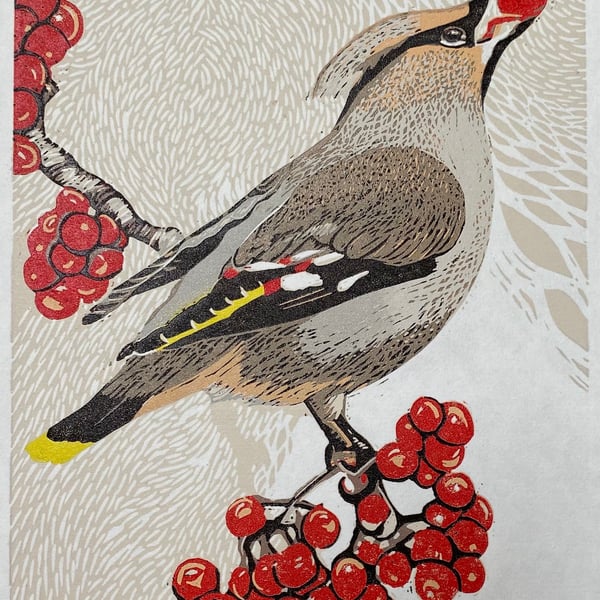  Waxwing and Rowan berries I  - Handmade Limited Edition Lino Print 