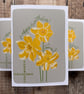 Jonquil Birthday Card: March Birth Flower, Spring Nature