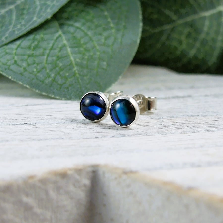Paua Shell Earrings. Sterling Silver 6mm Studs