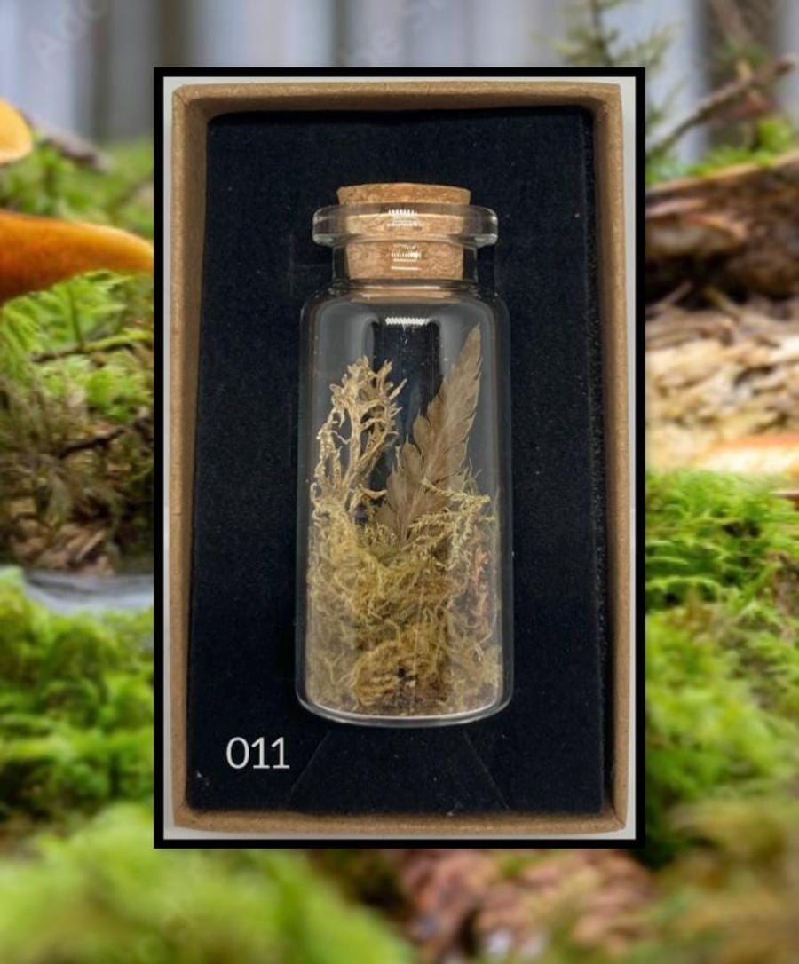 Forest curio jar