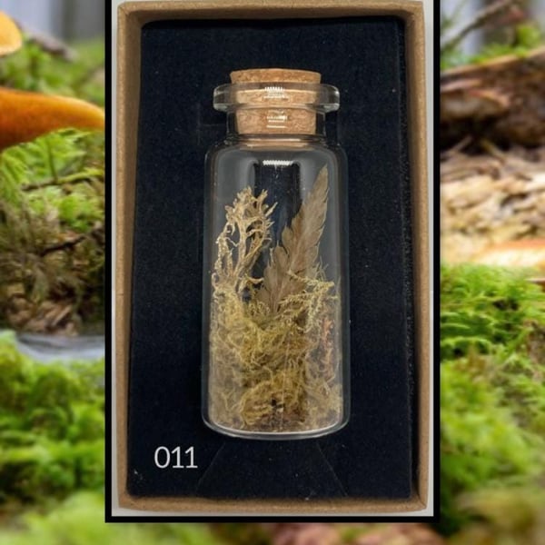 Forest curio jar