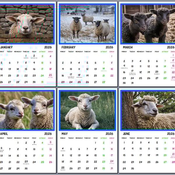2026 A4 Calendar Sheep Lambs 