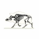 Xray Wild Boar Skeleton Glass Sculpture