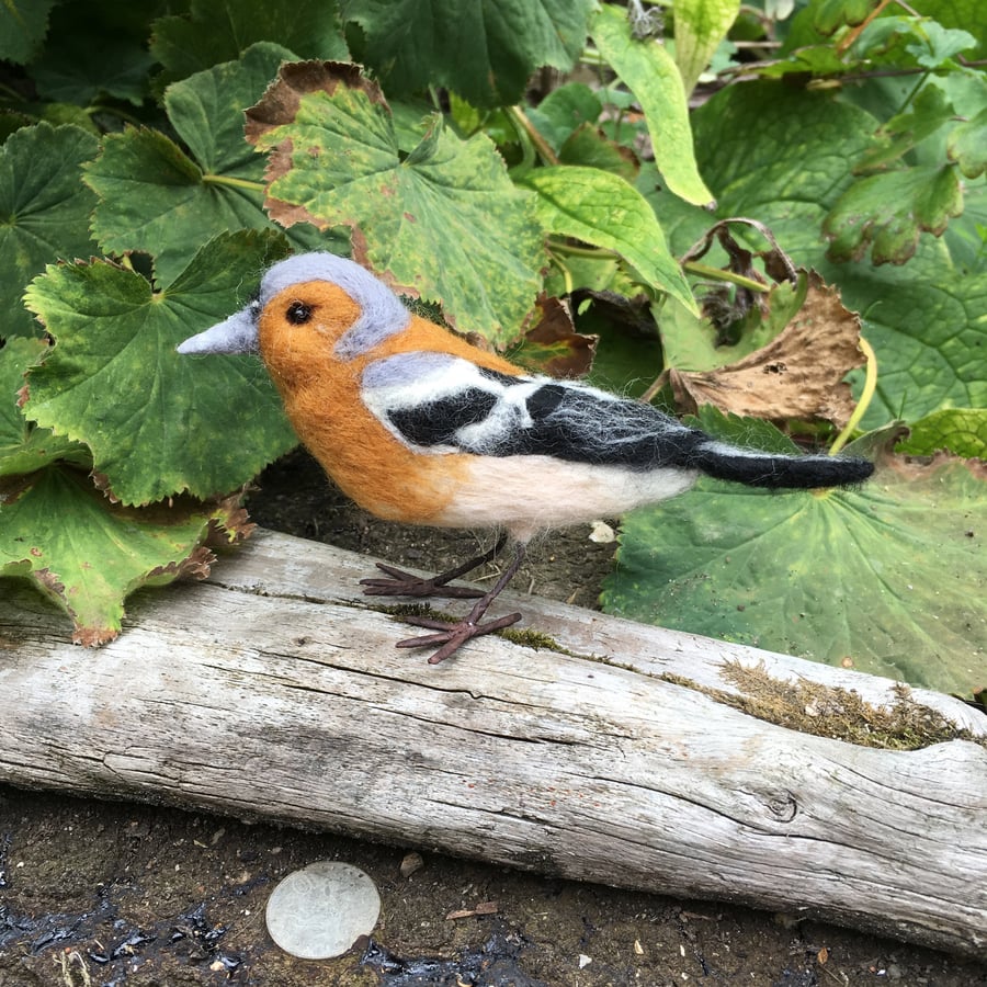 Needle felted chaffinch. british garden birds